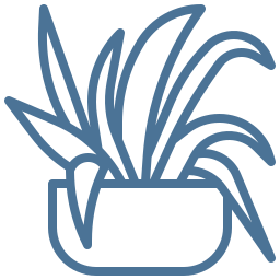 Planta